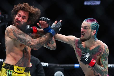 UFC 299: Sean O'Malley vs. Marlon 'Chito' Vera Recap Highlights.